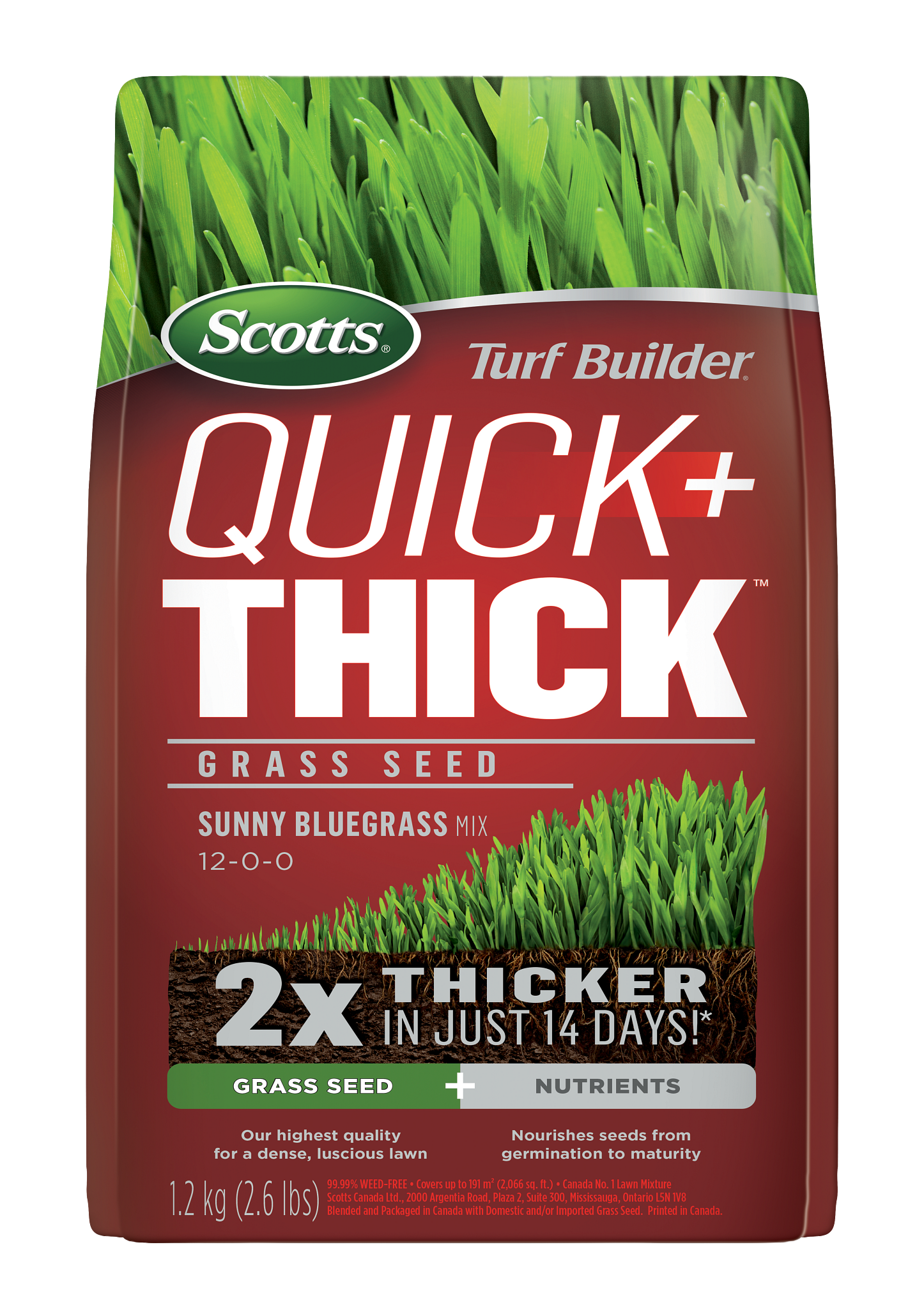 Scotts Turf Builder Quick + Thick Grass Seed Sunny Bluegrass 1.2 kg