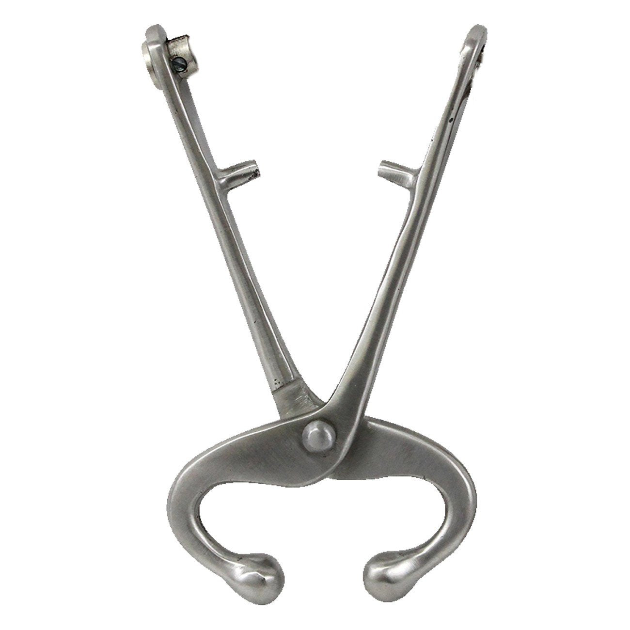 Sharpvet bull lead without chain