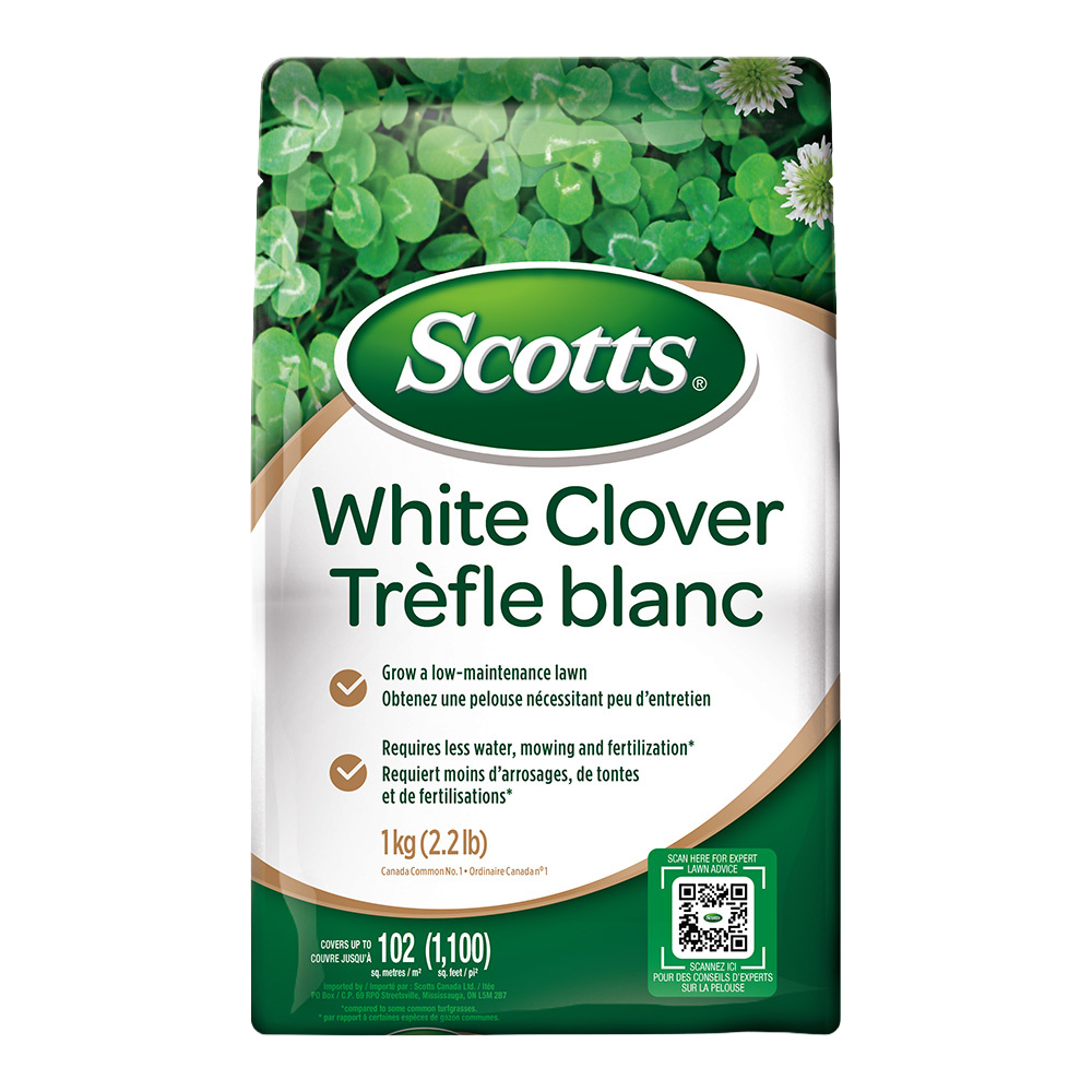 Scotts White Clover 1 kg
