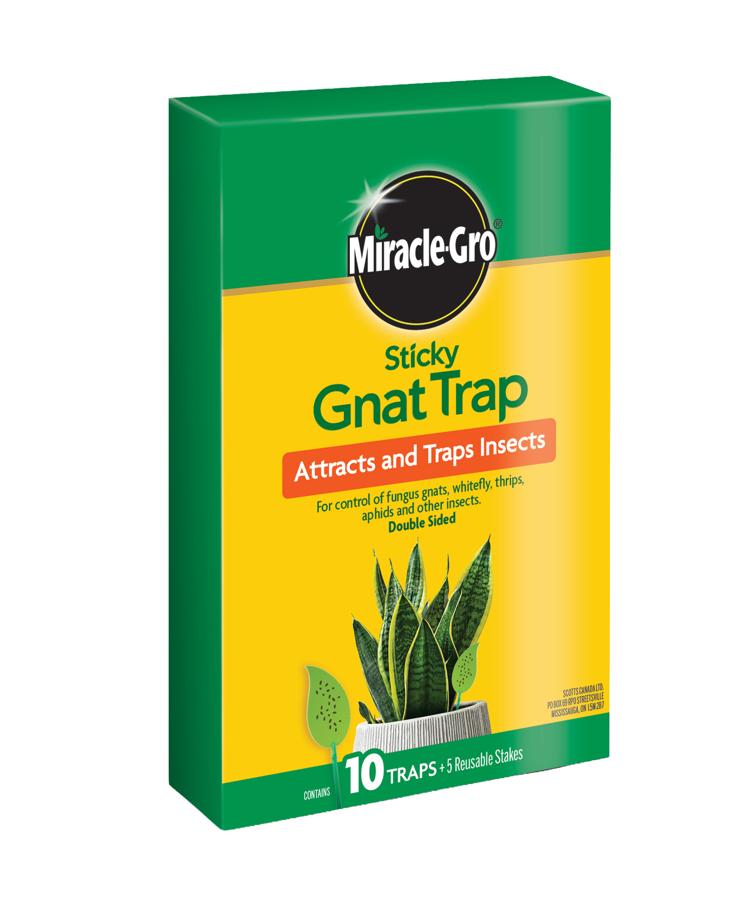 Miracle-Gro Sticky Gnat Trap 10 Pack