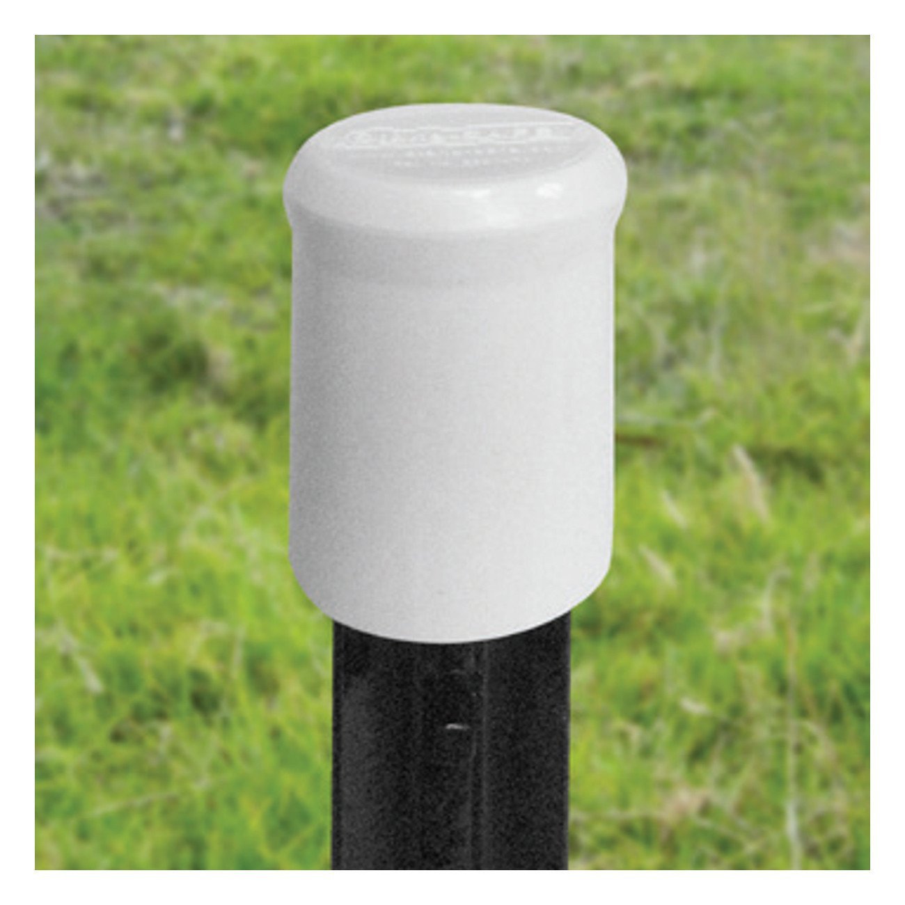 Patriot white t-post safety cap (10 pack)