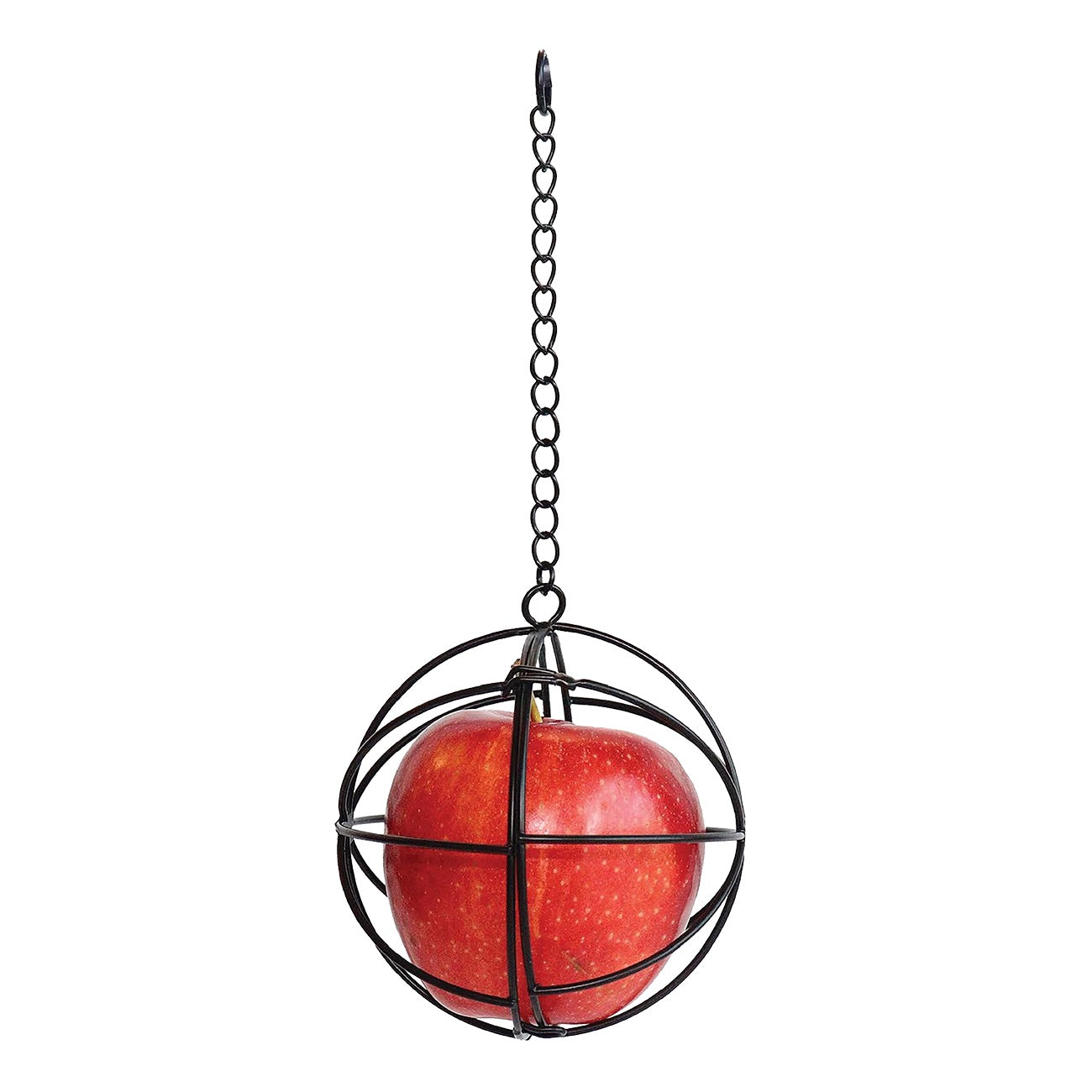 Little Giant Chicken Treat Ball 4 Inch