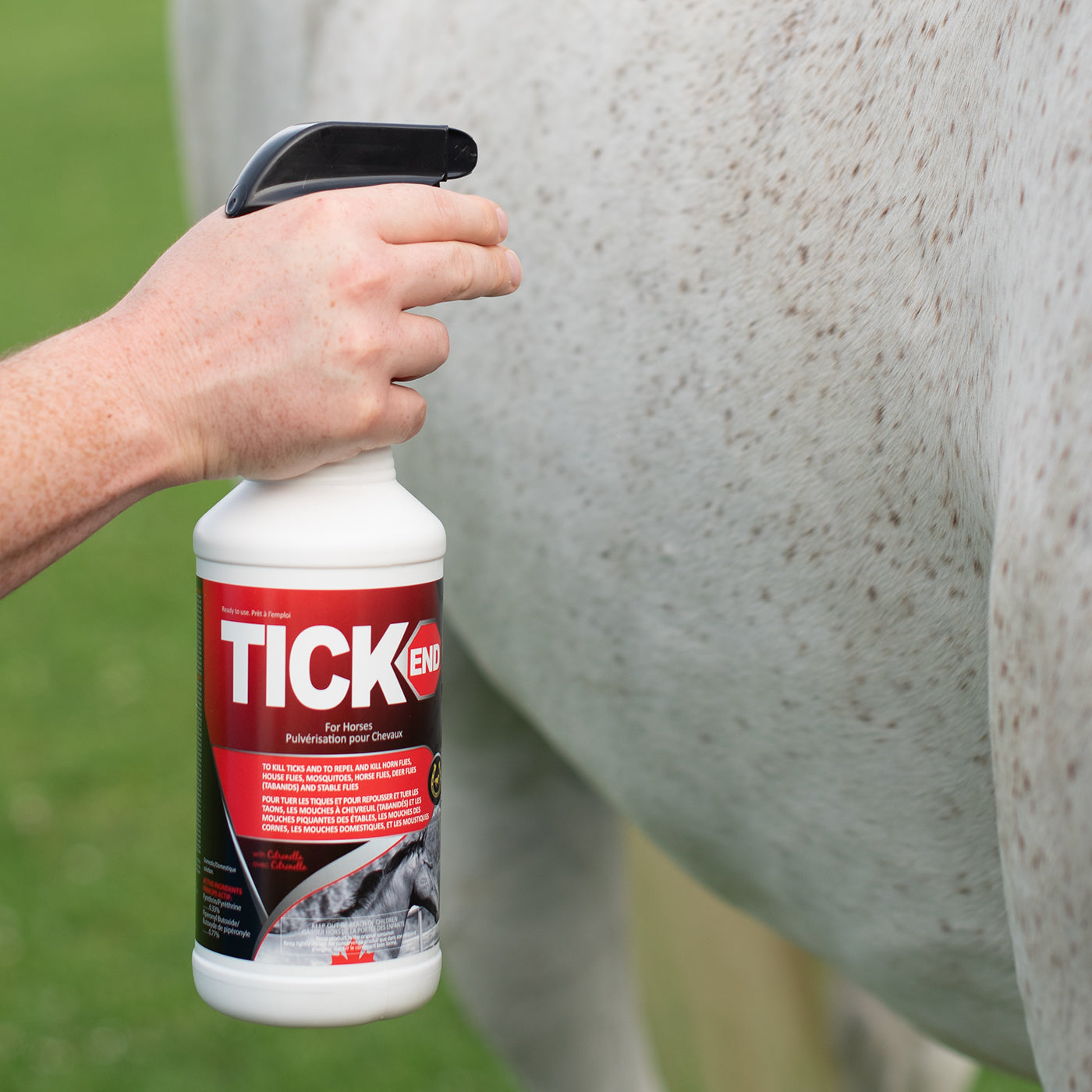 Golden Horseshoe Tick End Spray for Horses 1 L