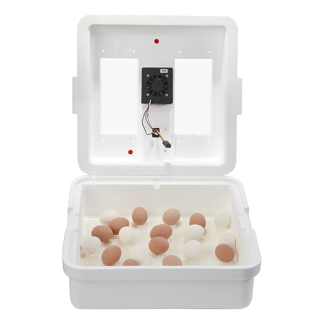 Little Giant CSA listed incubator (12500)