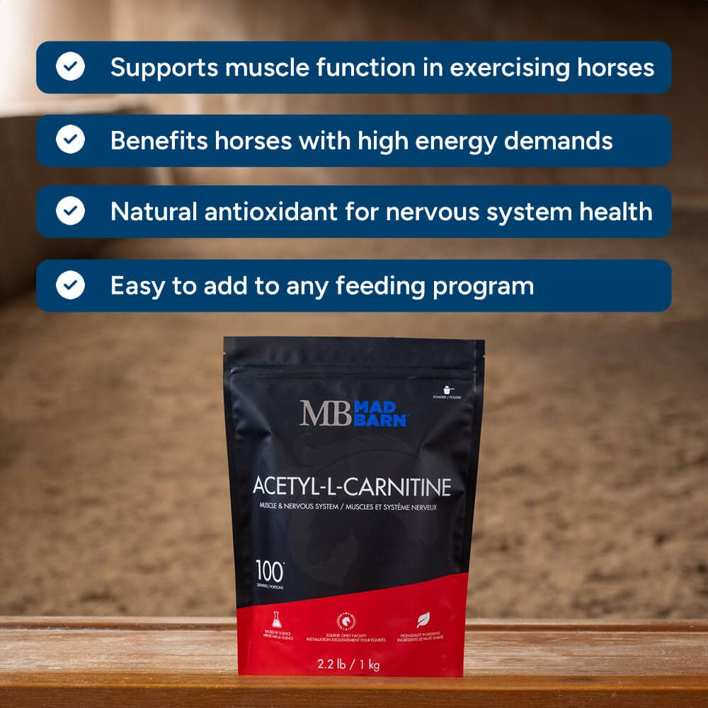 Mad Barn Acetyl-L-Carnitine (ALCAR)