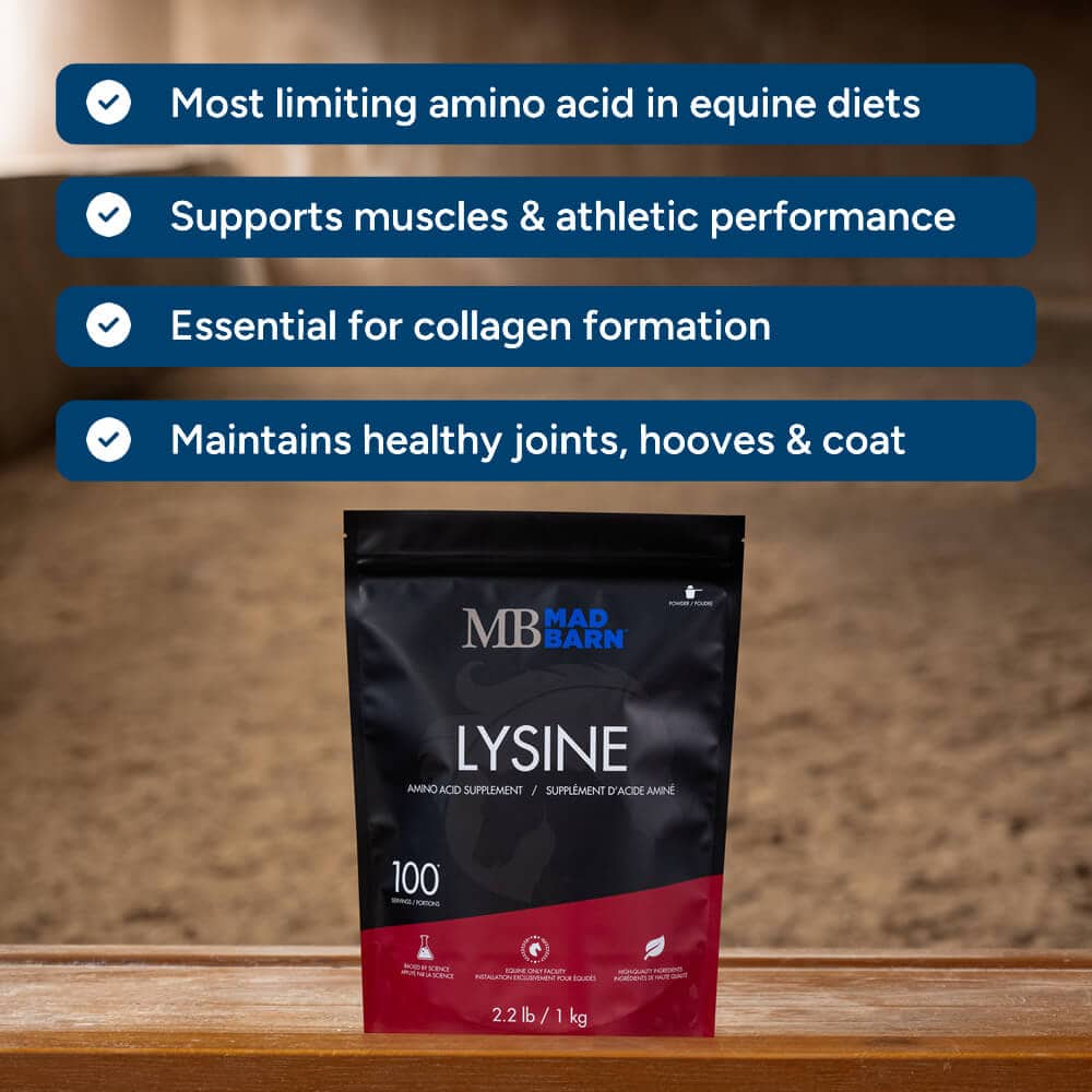 Mad Barn L-Lysine