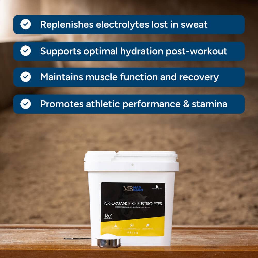 Mad Barn Performance XL Electrolytes 1 kg