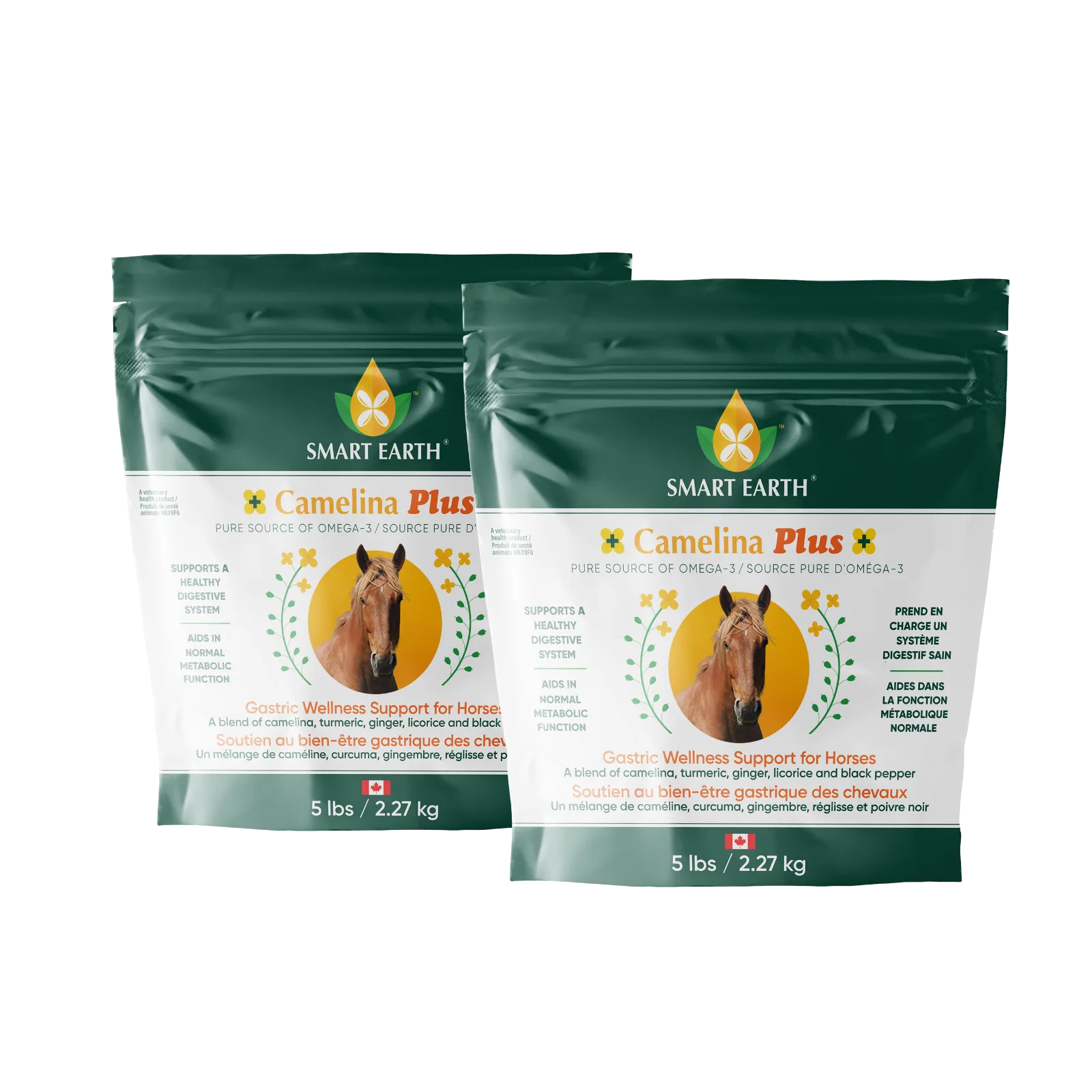 Smart Earth Camelina Plus Gastric Wellness Support - 2 Pack