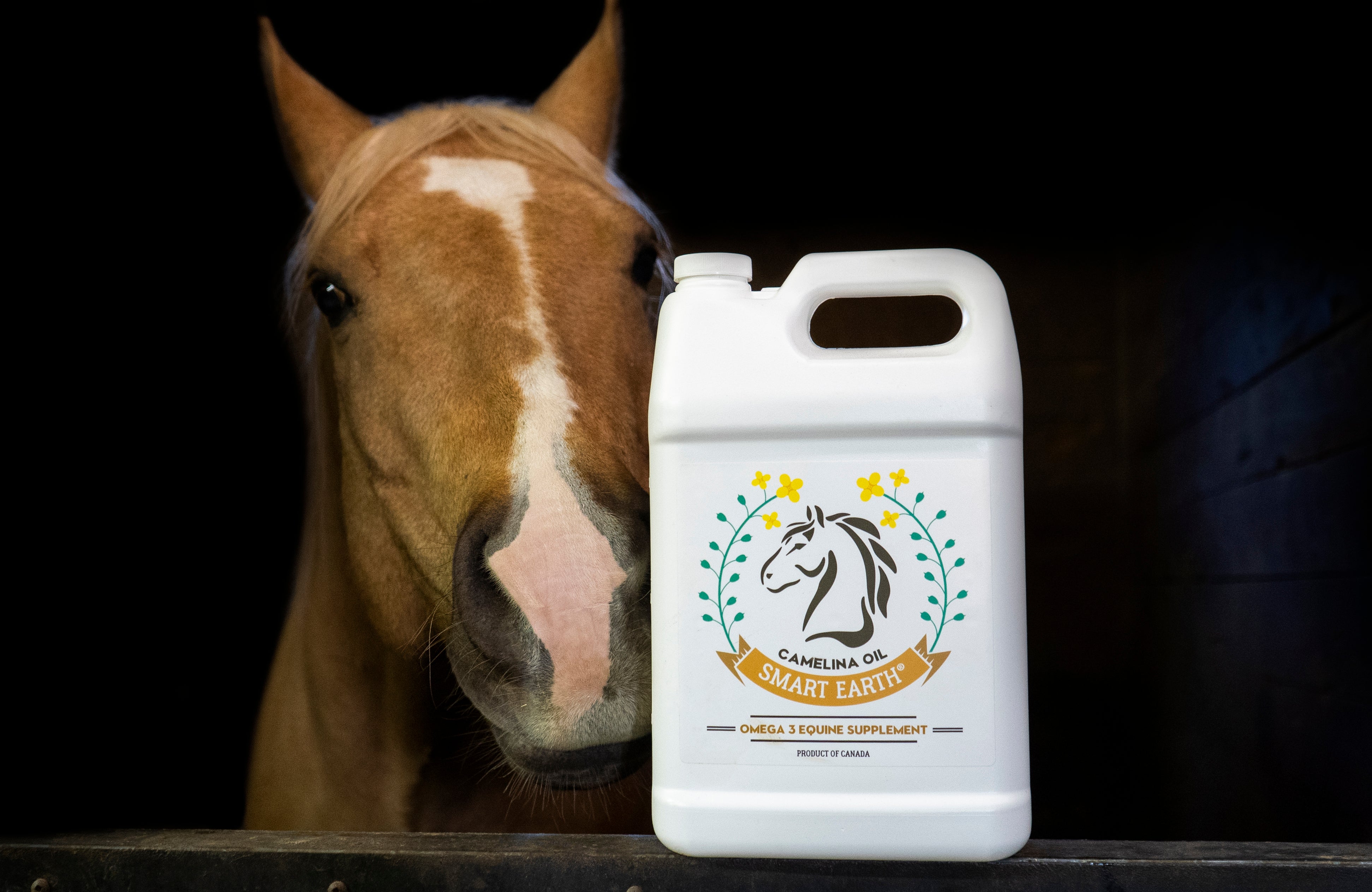 Chestnut horse at a stall door beside a 3.78 L jug of Smart Earth Camelina Oil