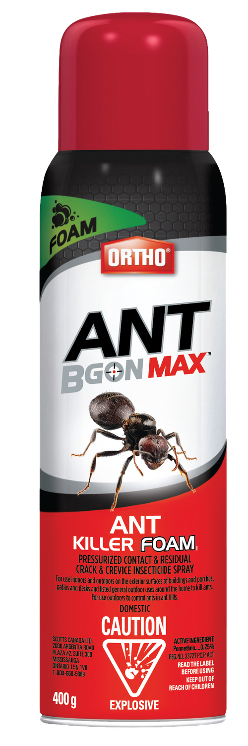 Ortho® Wasp B Gon® Max Foam