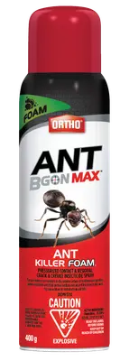 Ortho Ant B Gon Max Ant Killer Foam Aerosol 400 g