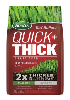 Scotts Turf Builder Quick + Thick Grass Seed Sunny Bluegrass 1.2 kg