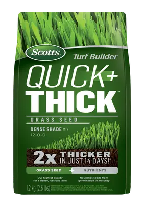 Scotts Turf Builder Quick + Thick Grass Seed Dense Shade 1.2 kg
