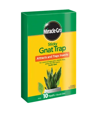 Miracle-Gro Sticky Gnat Trap 10 Pack