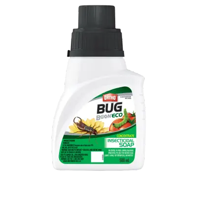 Ortho Bug B Gon ECO Insecticidal Soap Concentrate 500 mL