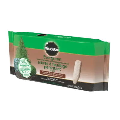 Miracle-Gro Evergreen Fertilizer Spikes 12-6-12 10-Pack 1.13 kg