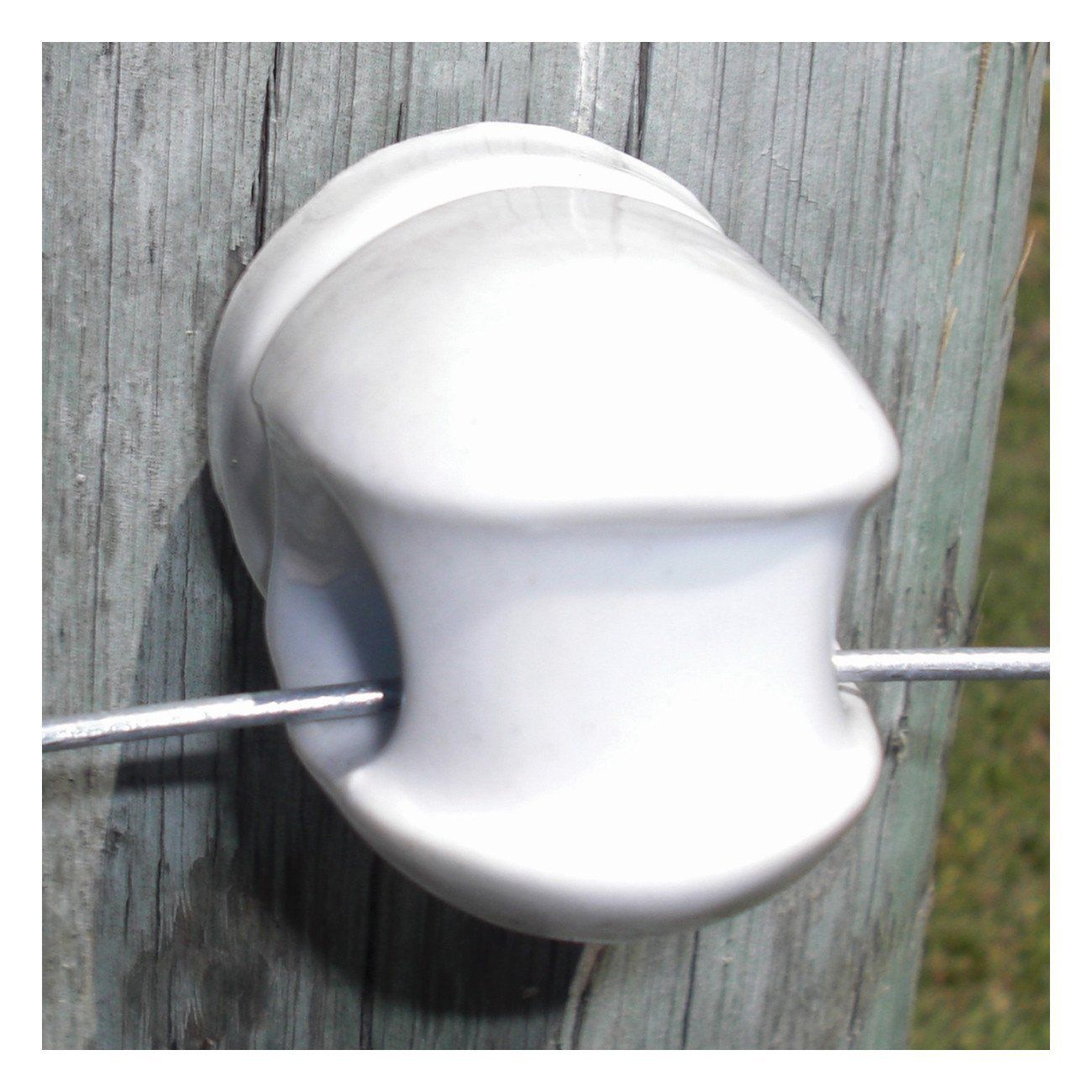 Patriot porcelain screw-in insulator (large) 15/bx