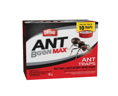 Ortho Ant B Gon Max Ant Traps (10-Pack) 10 x 5 g