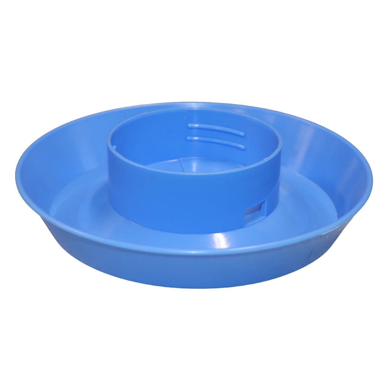 Little Giant 1 Quart Screw-On Poultry Waterer Base w/ Perf Carton, Berry Blue (742)