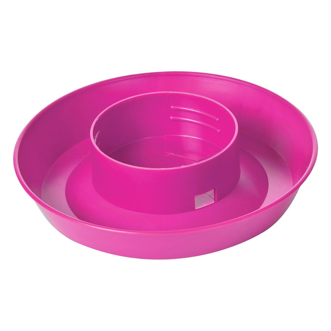 Little Giant 1 Quart Screw-On Poultry Waterer Base w/ Perf Carton, Hot Pink (742)