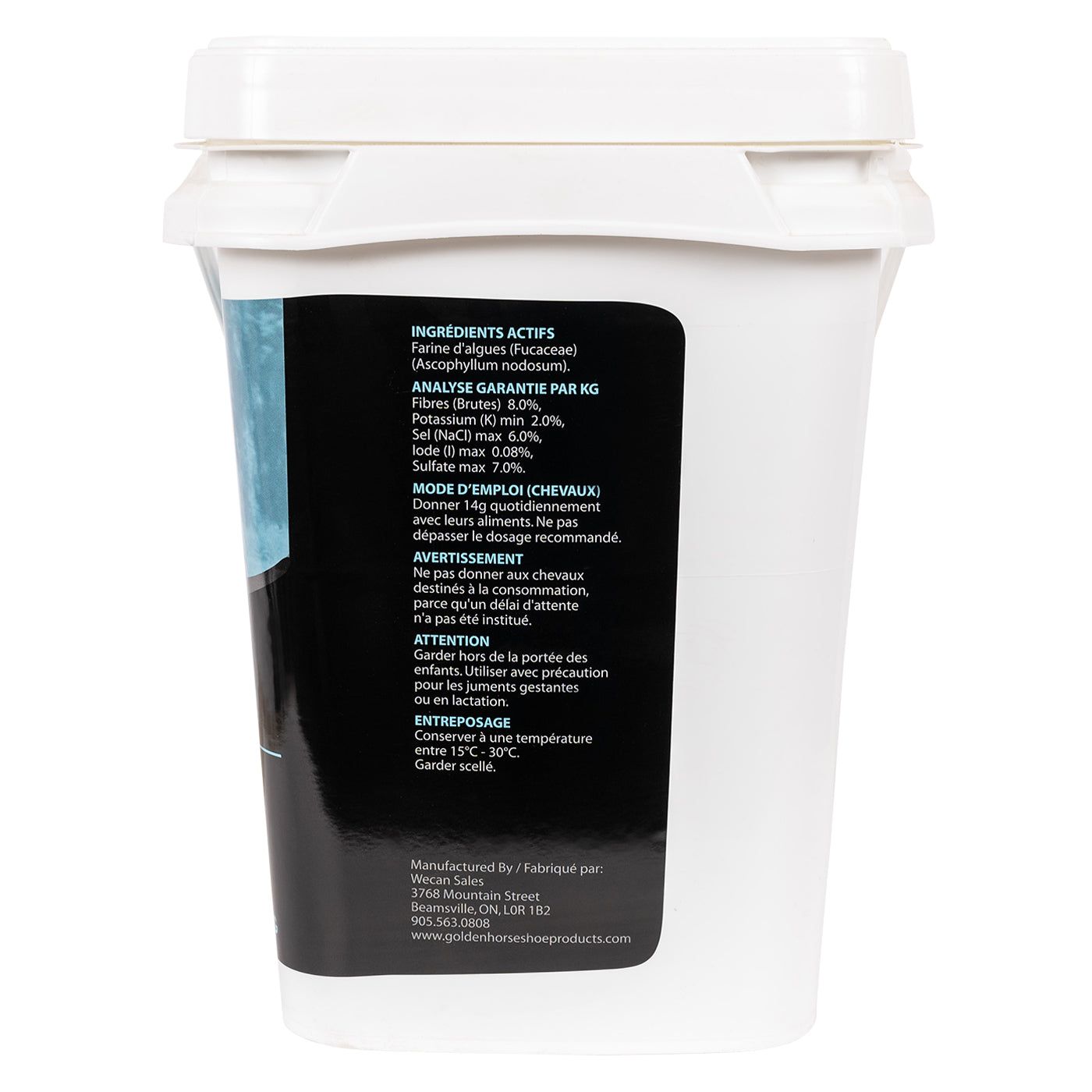 Golden Horseshoe Kelp 5.5 kg