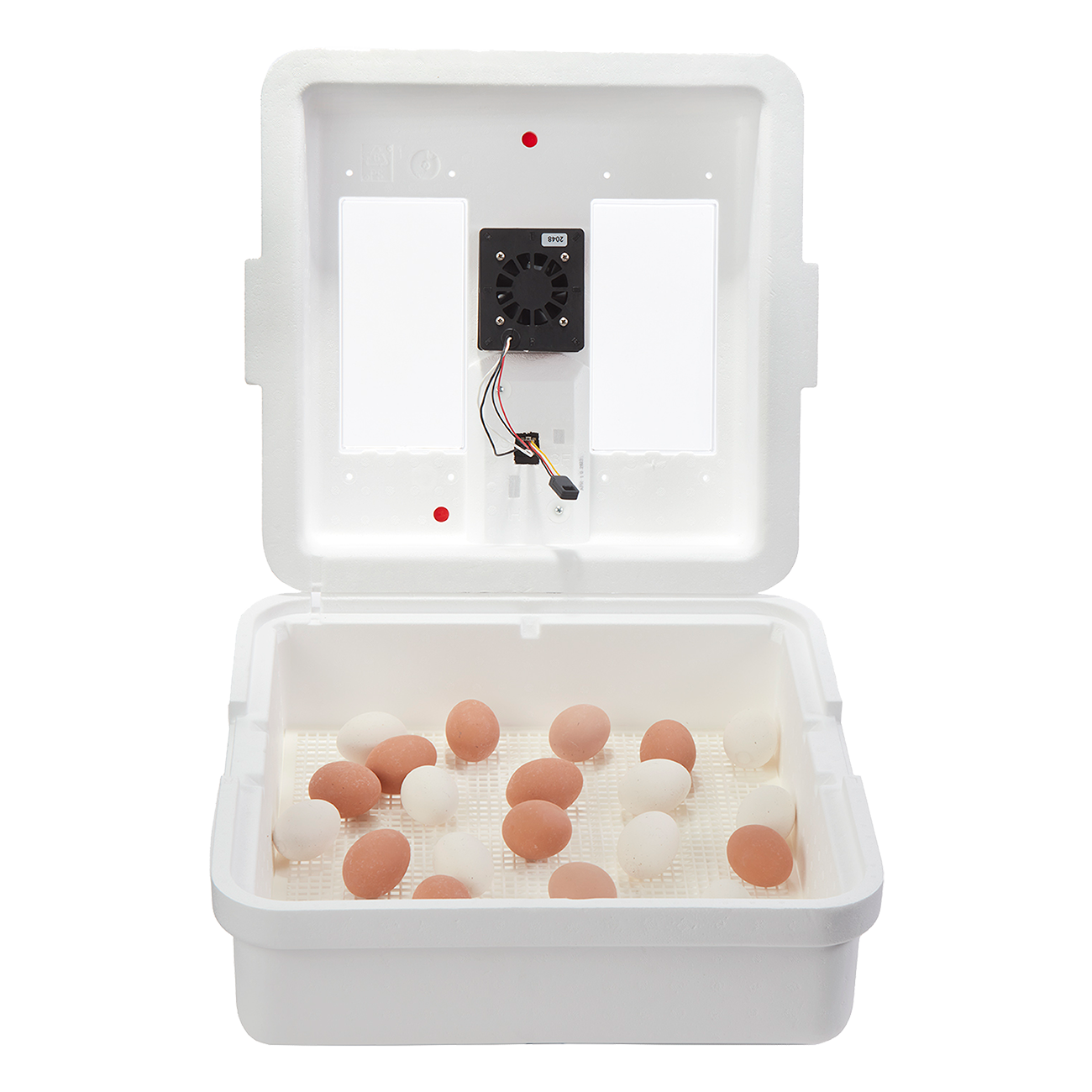 Little Giant CSA listed incubator (12500)