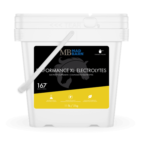 Mad Barn Performance XL Electrolytes 5 kg