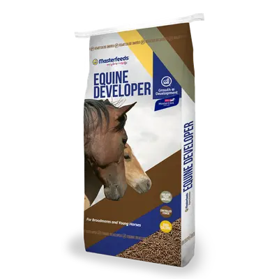 Masterfeeds 14% Equine Developer Pellets bag