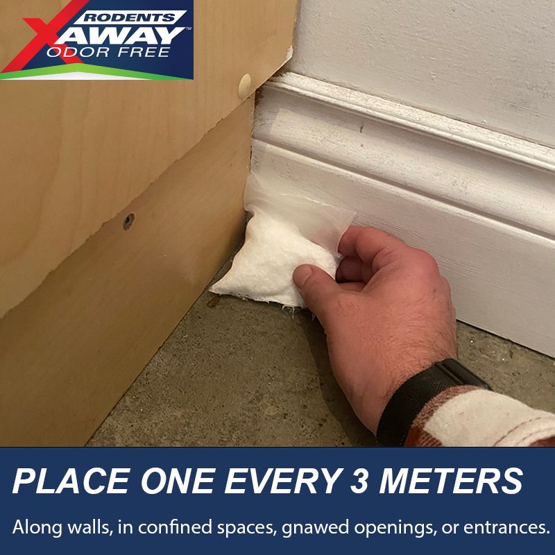 Placing a Rodents Away Odor Free sachet along a baseboard — one every 3 metres