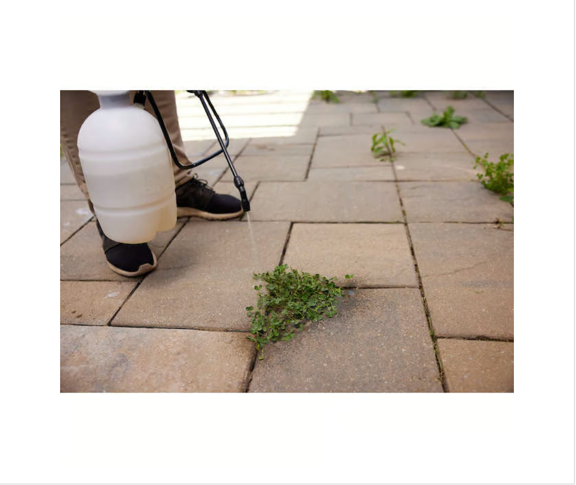 Roundup Super Concentrate Non-Selective Herbicide 1L