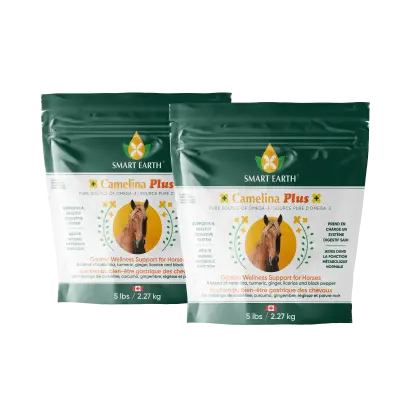 Smart Earth Camelina Plus Gastric Wellness Support - 2 Pack