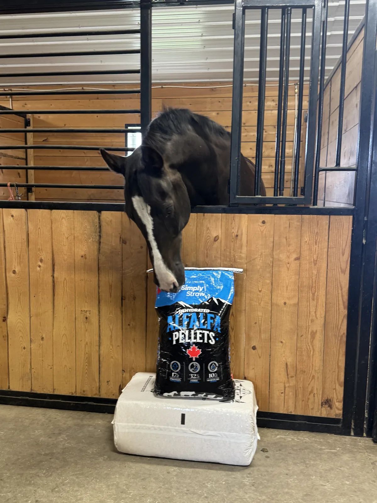 Horse eating from a stall feeder next to an open Simply Straw alfalfa pellets bag