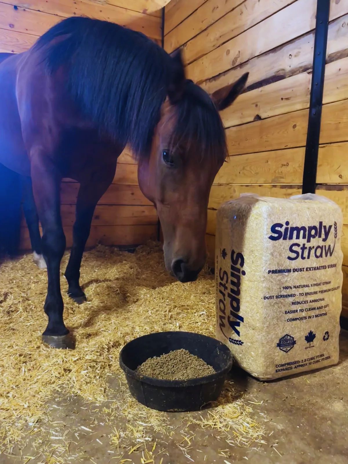 Horse in a straw-bedded stall beside a Simply Straw 80 L wheat straw bale