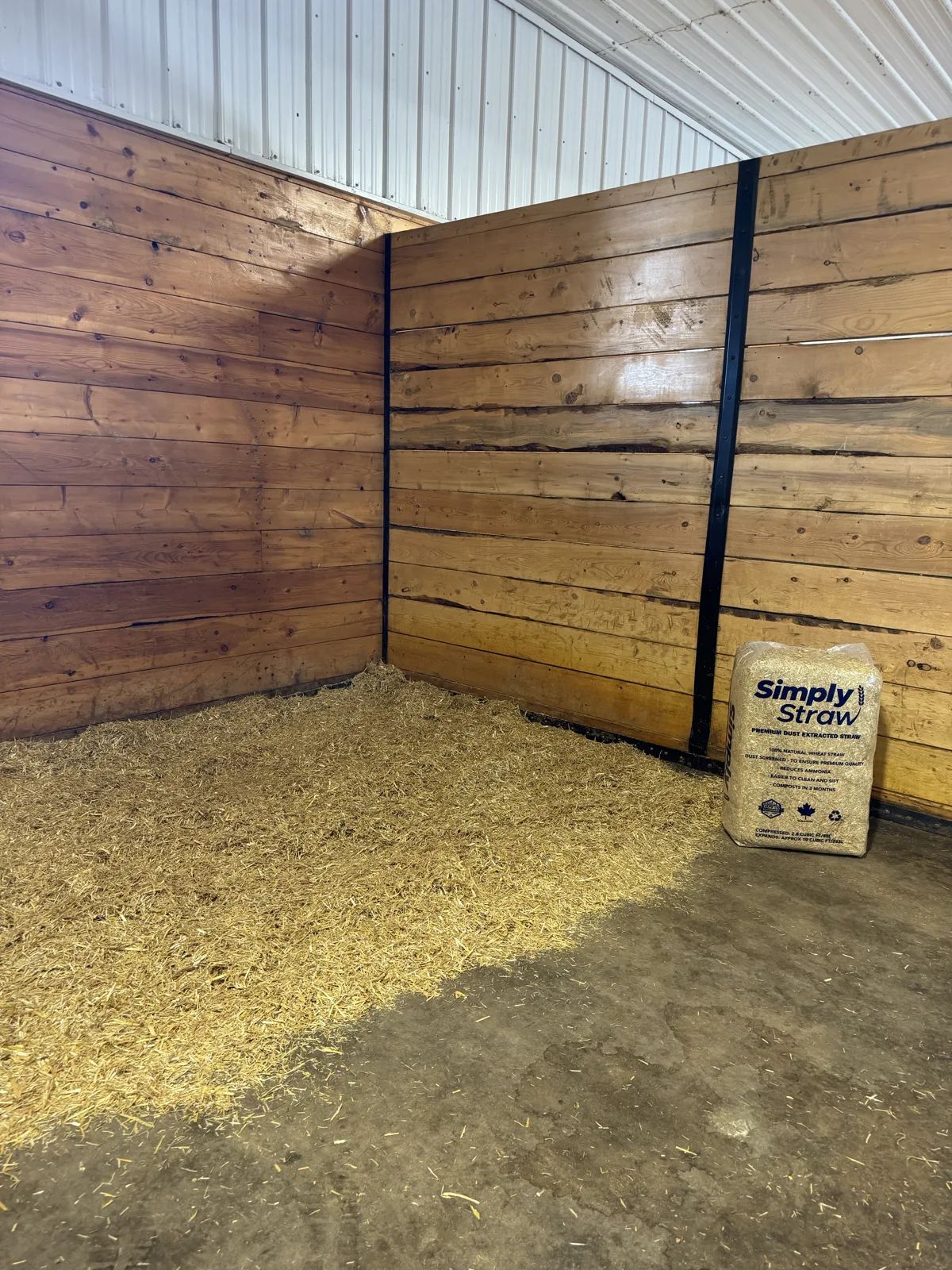 Simply Straw wheat straw spread as bedding across a stall floor
