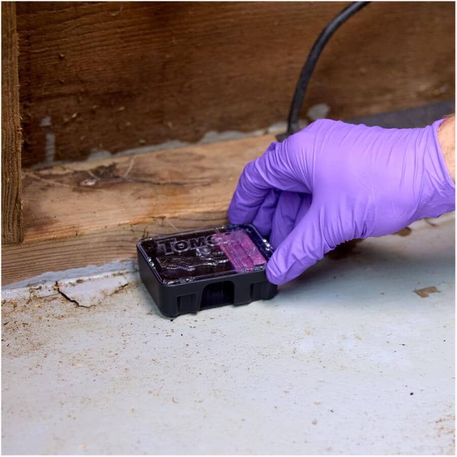 Gloved hand setting a Tomcat disposable mouse bait station against a basement wall