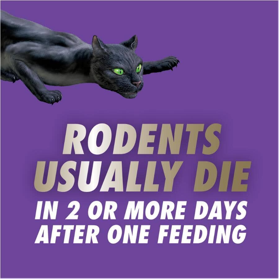 Rodents usually die two or more days after one feeding on Tomcat Advanced Formula bait